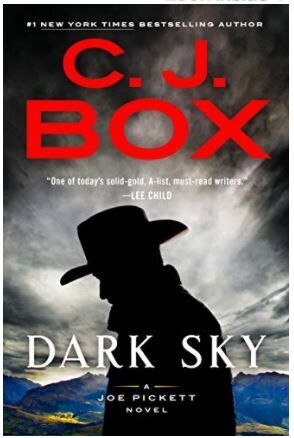 Dark Sky cover.JPG